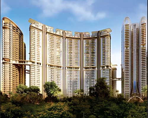 AMARYLLIS, KAROL BAGH